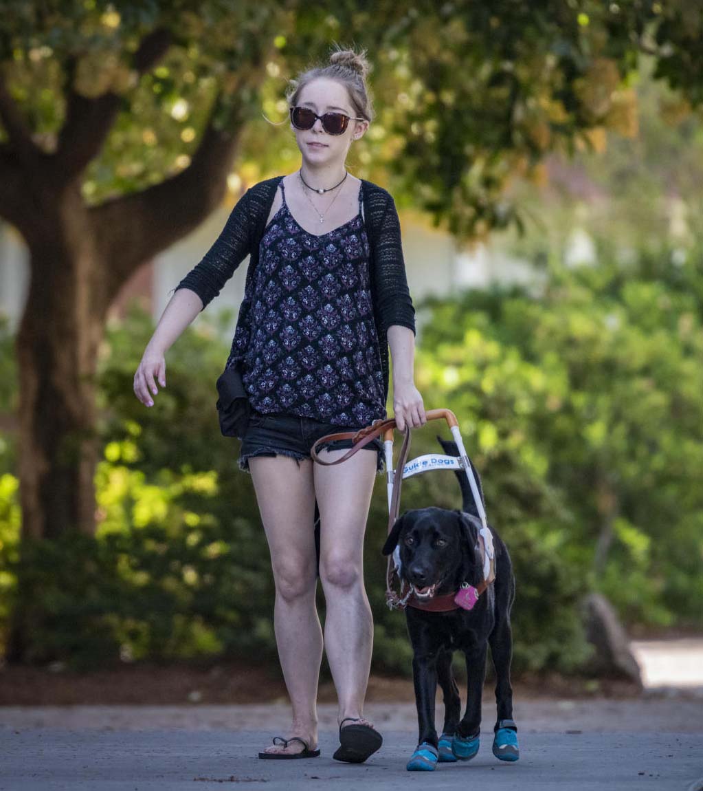 A student who is blind walks across campus with her black lab guide dog