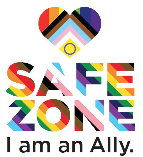 safe zone ally graphic