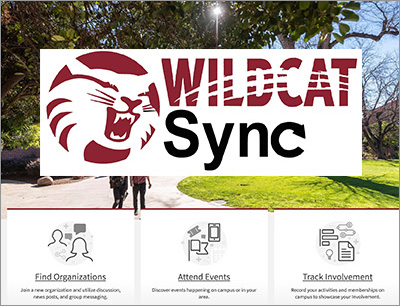 Wildcat Sync thumbnail