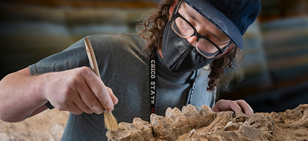 Sean Nies reveals fossils of a mastodon tusk, jaw, & teeth
