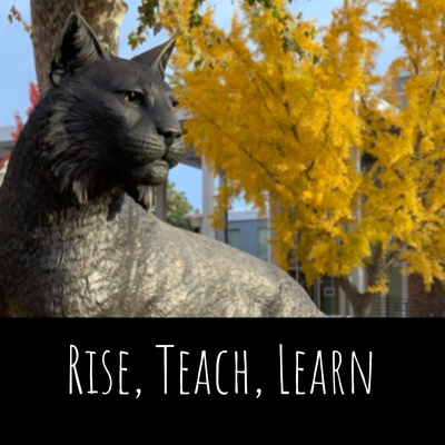 Wildcat statue with the words "Rise, Teach, Learn" bannered below it.