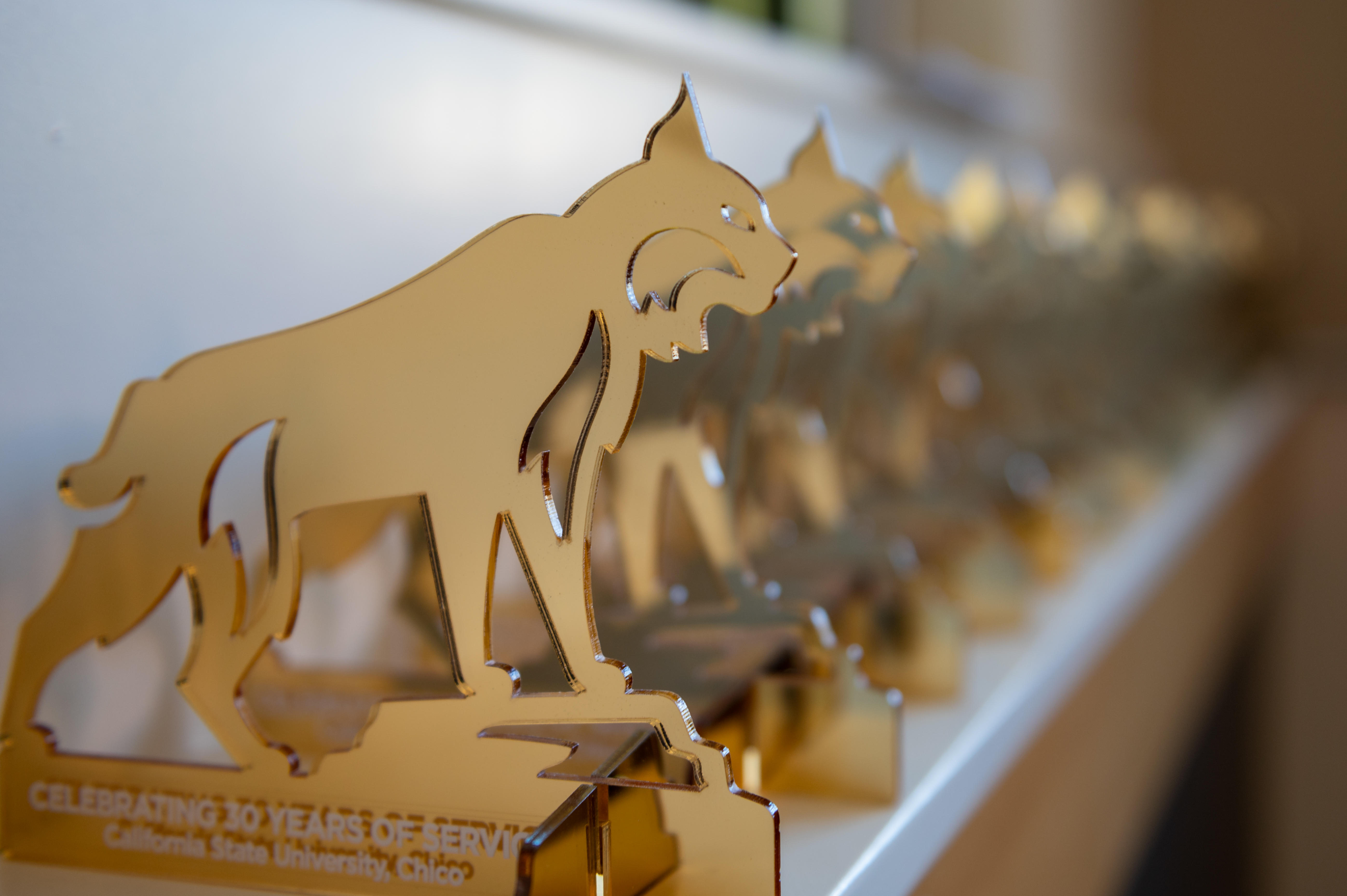 Awards of gold color wildcats