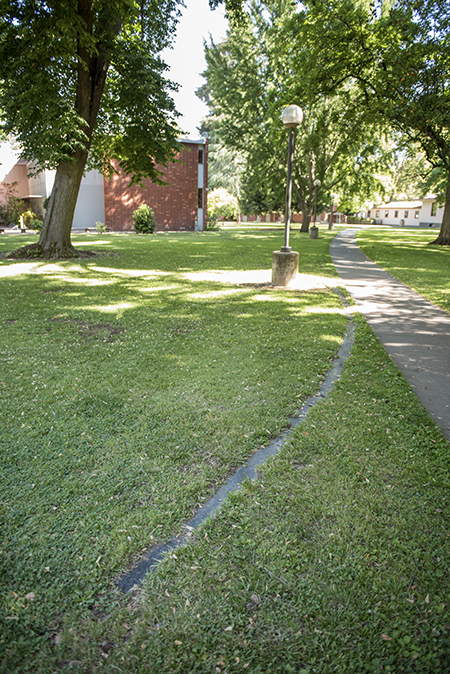 concrete path in grass