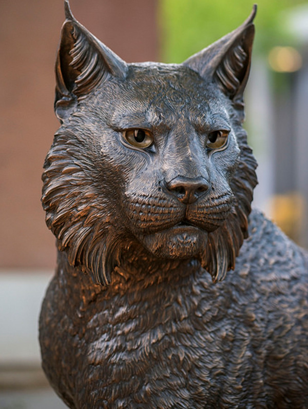 face of bronze Wildcat Statue