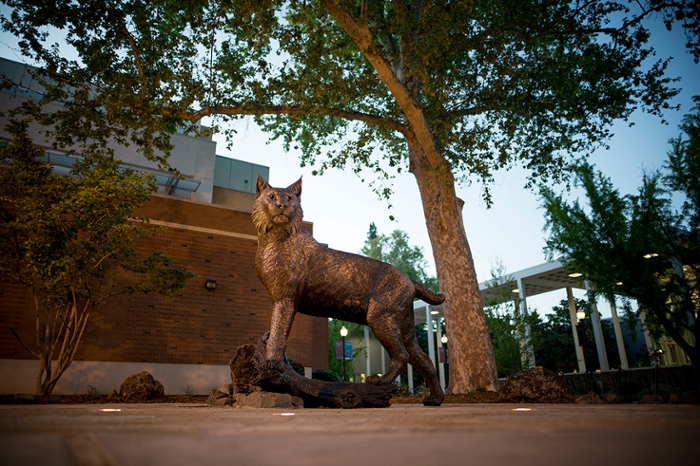 bronze wildcat sculpture