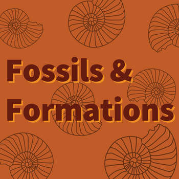 Orange with tan fossil shells, text says "Fossils and Formations"