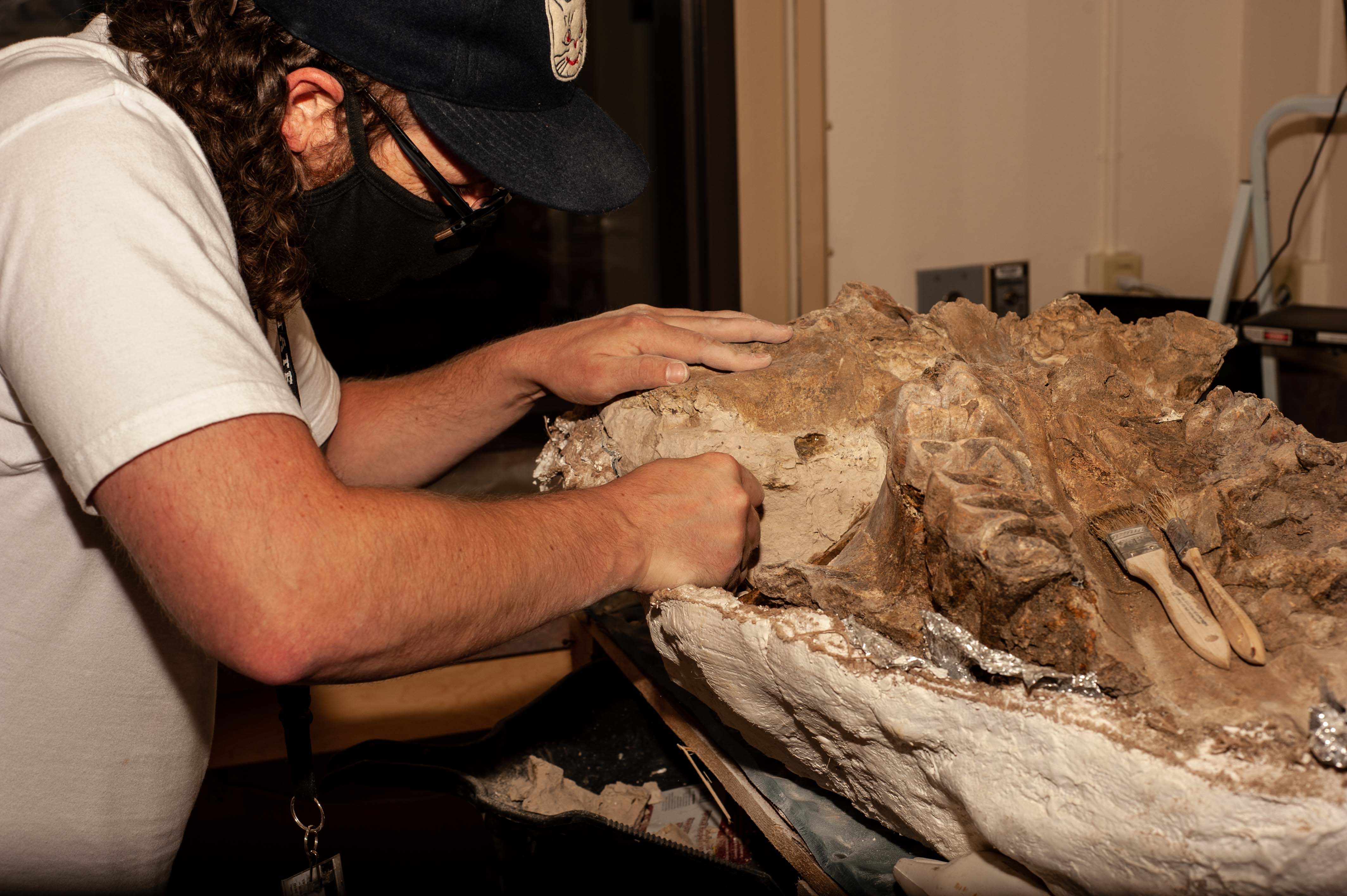 Sean Nies preparing fossil