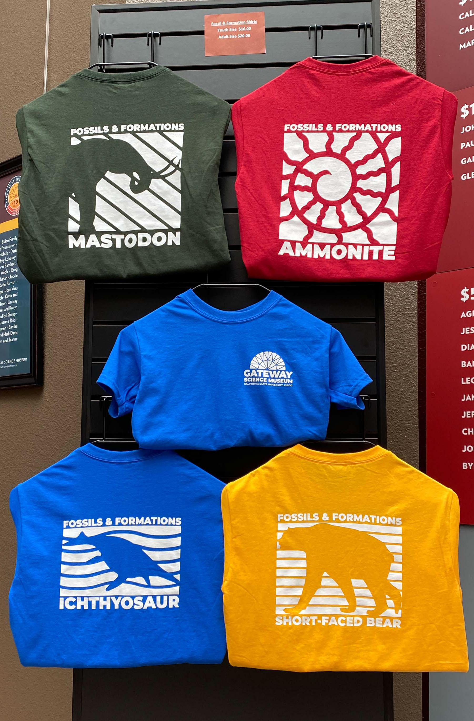 fossils and formations shirts on display in the museum
