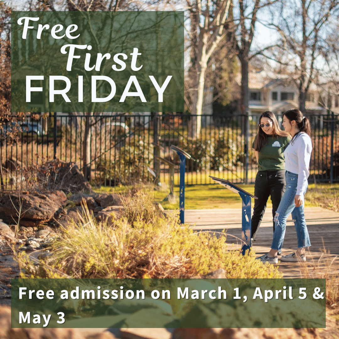 Free Friday for Spring 2024 dates