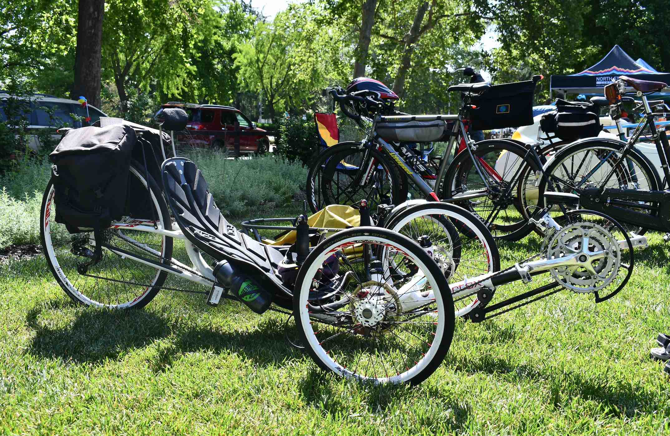Several bikes propped on grass, the front one has a dropped seat for riding low