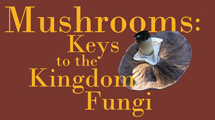 Mushrooms: Keys to the Kingdom Fungi event poster
