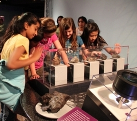 Children interact with the Great Balls of Fire exhibit