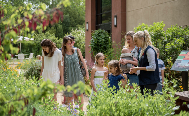 Families of mothers and children explore the pollinator garden in bloom. 