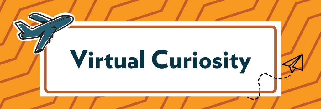 Virtual Curiosity