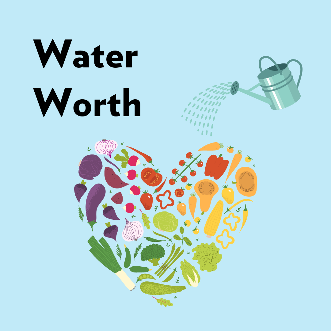 Logo of Water Worth module.