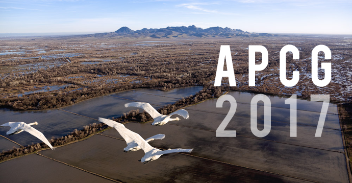"APCG 2017" four birds flying over rice fields
