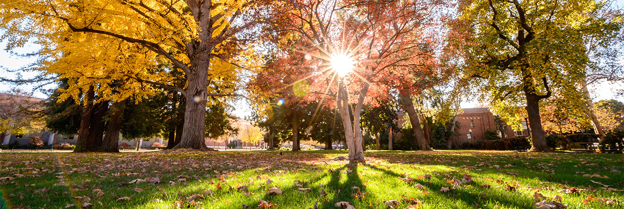 Chico State campus in Fall