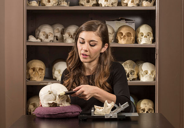 student examining skull in the Human Identification Lab