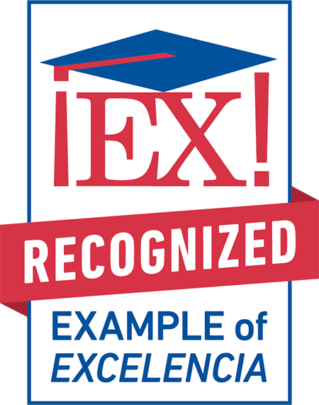 Examples of Excelencia 