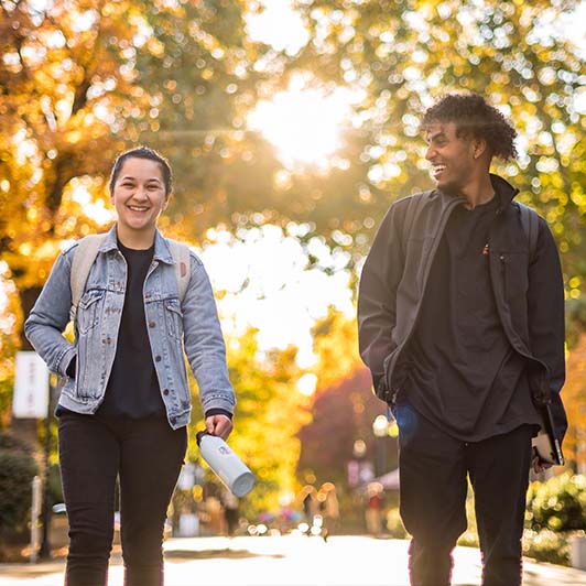 happy students stroll through a sunlit campus