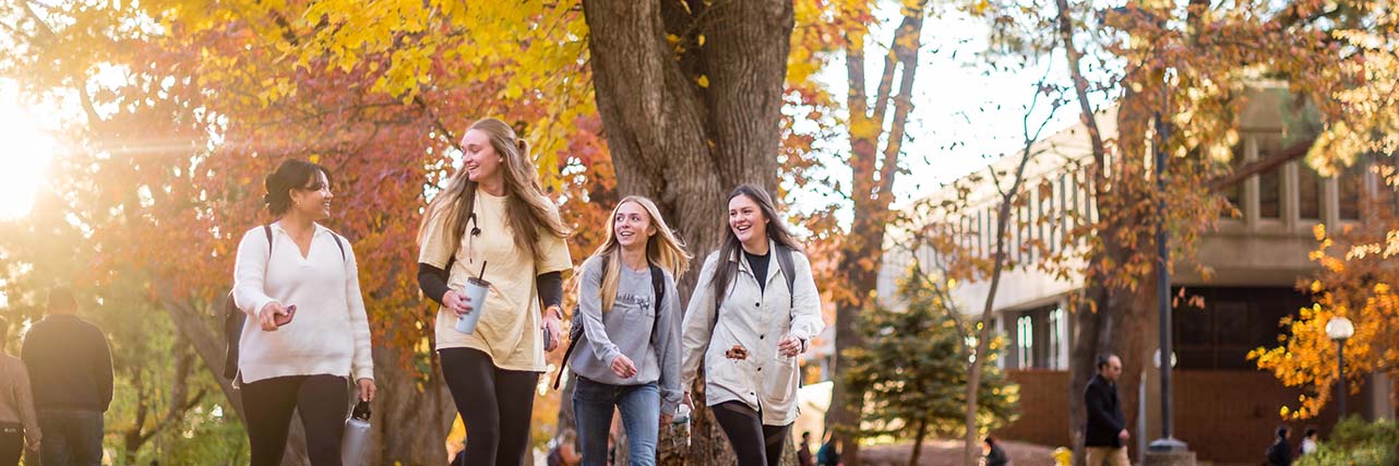 Smiling students walk down a path during a sunny fall afternoon.