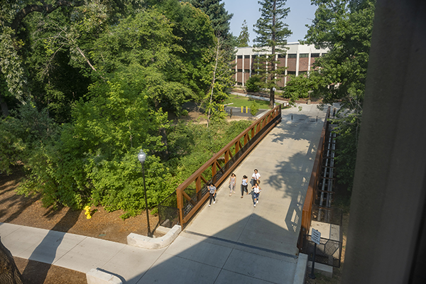 Holt Hall across one of several bridges that spans over the creek running through campus