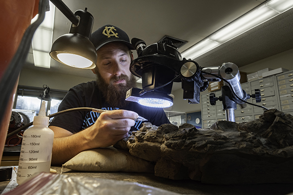 student studying a fossil in the lab