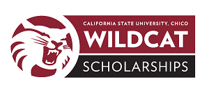 Wildcat Scholarship Application