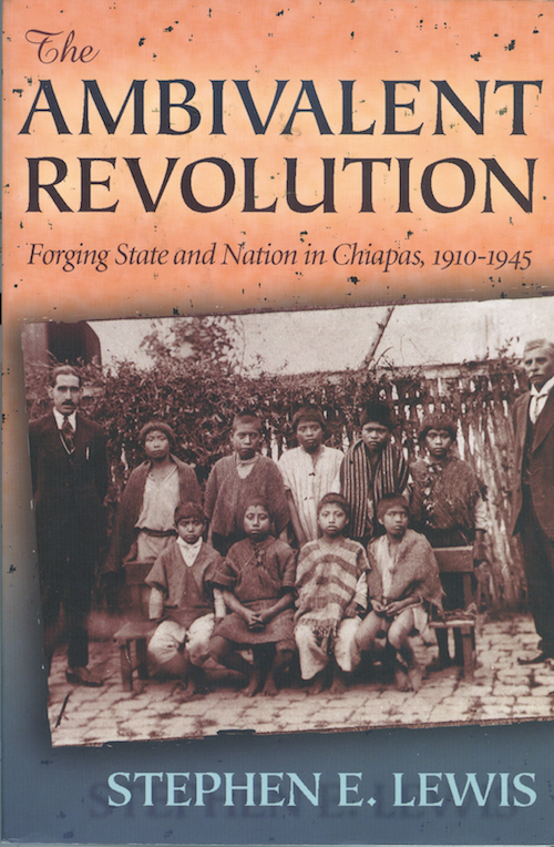 Cover of The Ambivalent Revolution