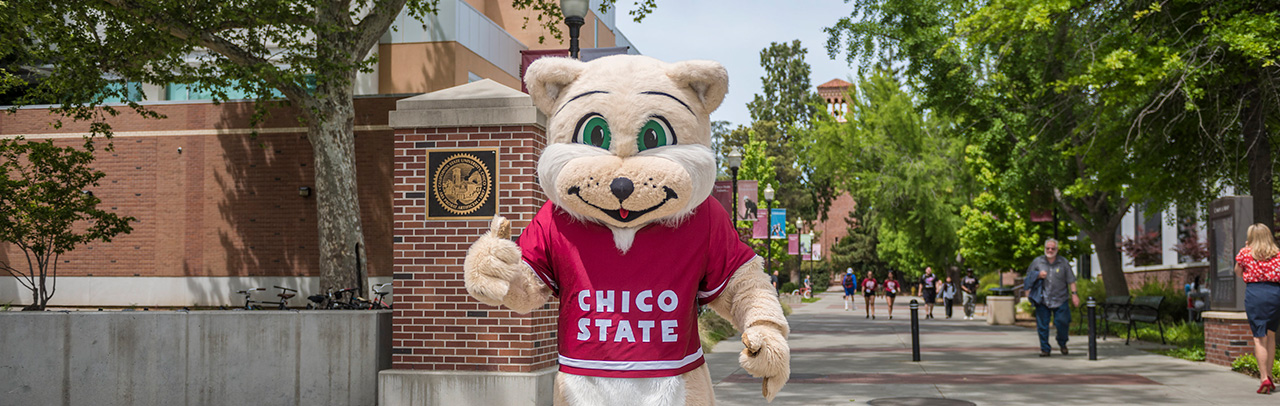 Willie the Wildcat giving the thumbs up in front of campus