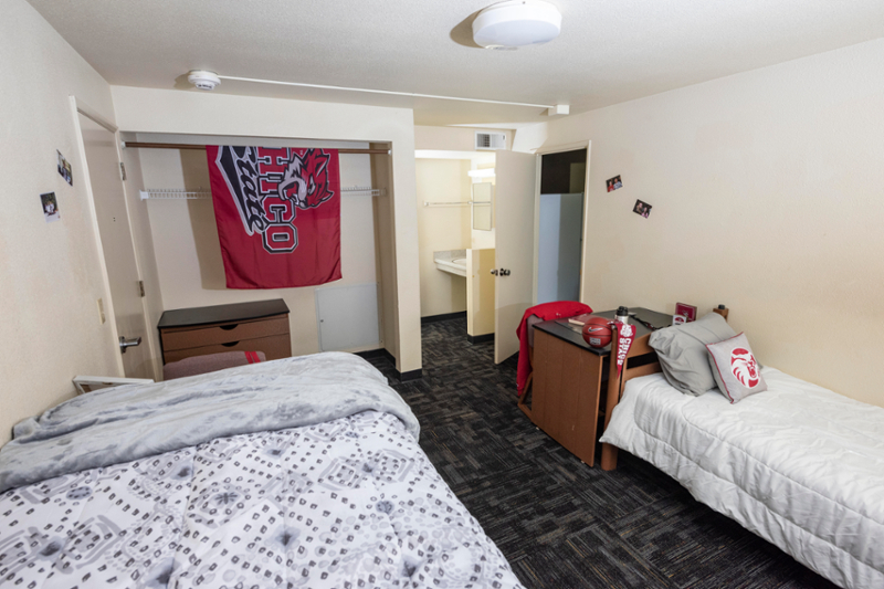 University Village Suite Double Room