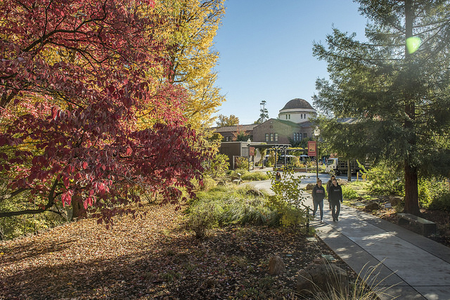 Students walk through campus that is changing to the Fall season