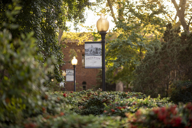 Fall picture of CSU, Chico Campus