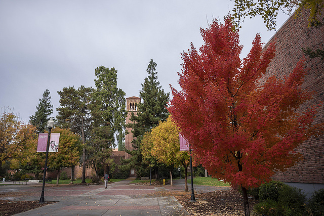 fall picture of campus