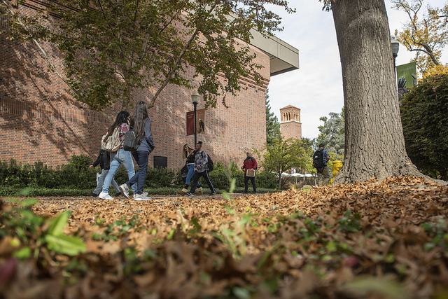 Fall picture of students walking on campus