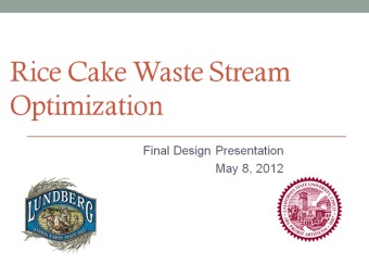 Rice Cake Waste Stream Optimization