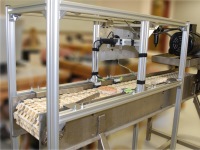 Extruded aluminum frame containig conveyor and optical sensor