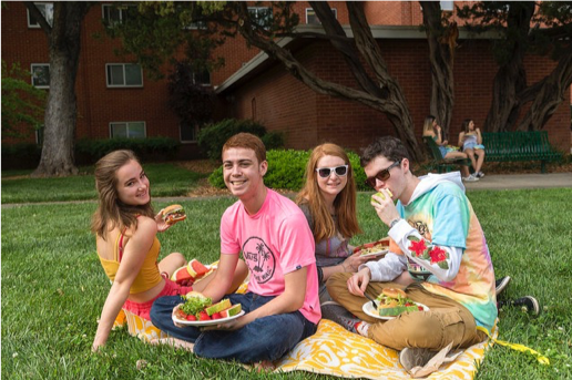 students sitting in the grass