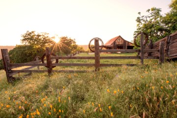 Butte Creek Ecological Reserve barn and field