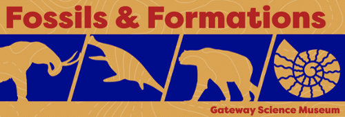 Fossil Formation Banner