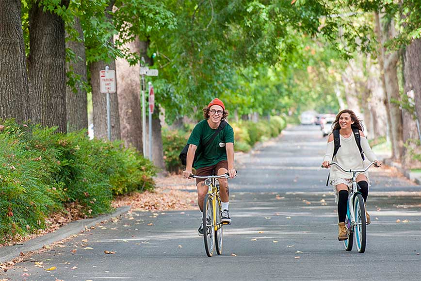 students ride their bikes to class under the beautiful canopy of trees