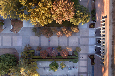 A drone shot shows the walkway outside the library