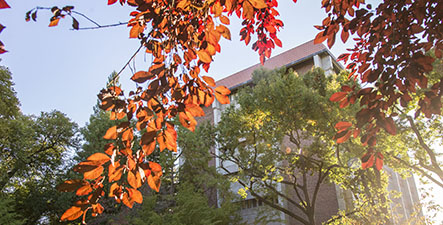 Butte Hall is visible among the trees on campus