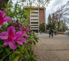 Flowers by Butte Hall