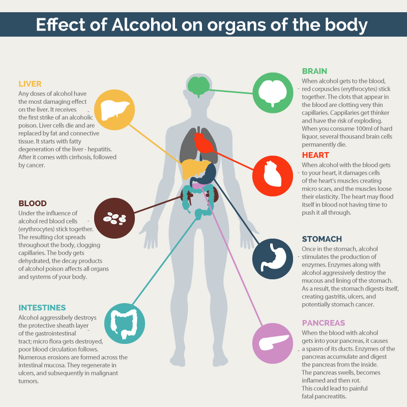 a description of alcohols effects on each organ in the body