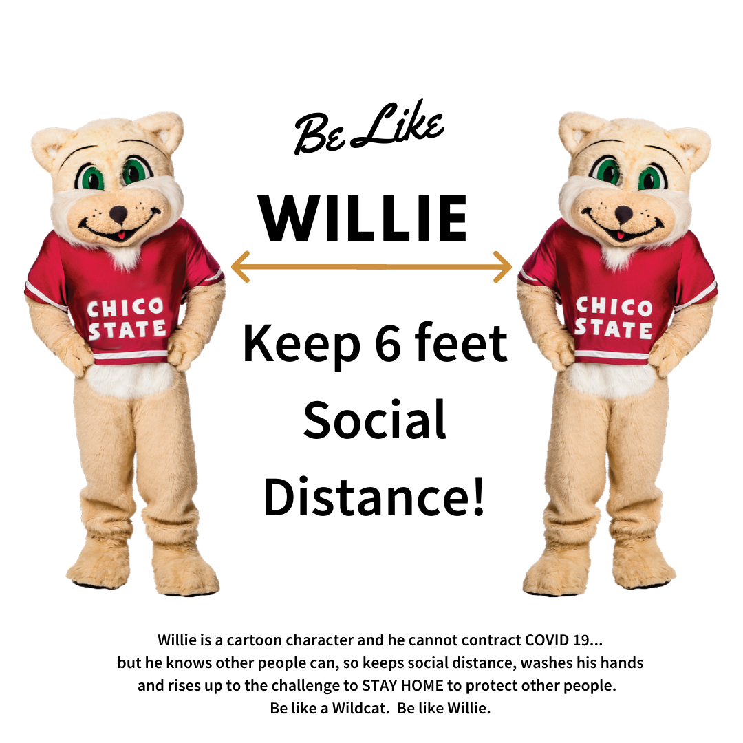 two willie the wildcat mascots standing 6 feet apart with the caption "Be like Willie, keep 6 feet social distance!  Willie is a cartoon character and he cannot contract COVID 19... but he knows other people can, so he keeps social distance, washes his hands, and rises up to the challenge to STAY HOME to protect other people.  Be like a wildcat.  Be like Willie.