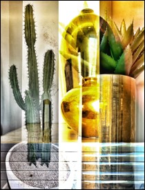 Art of a Cactus