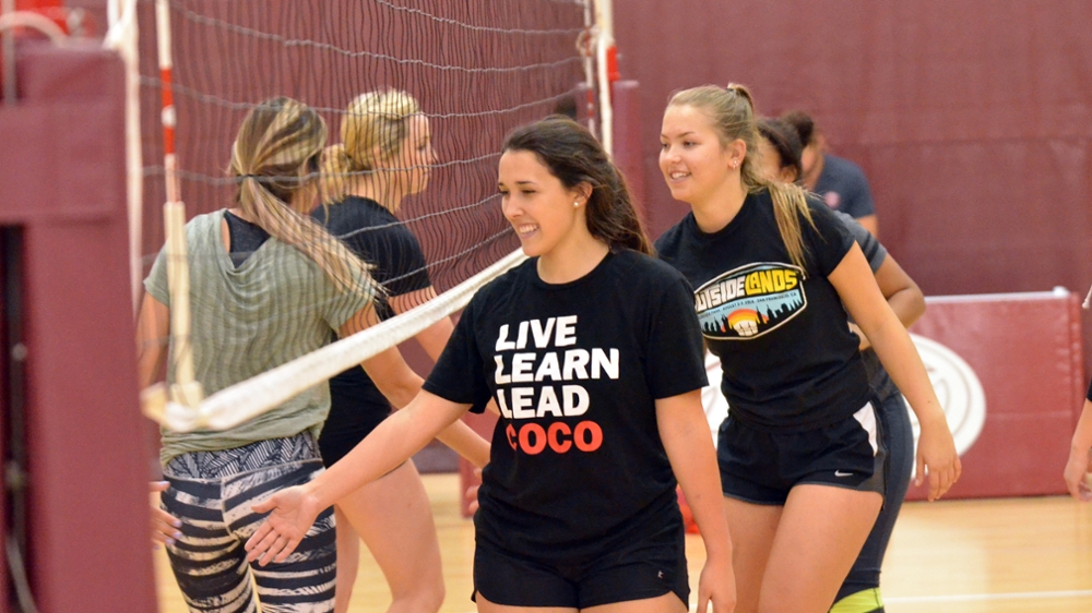 Players shaking hands under volleyball net.