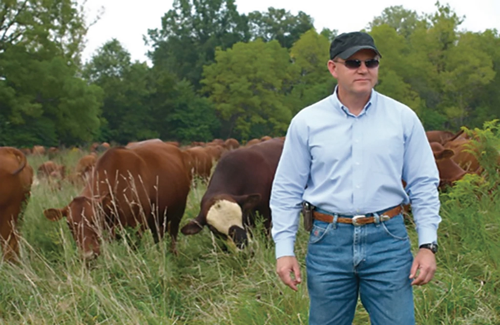 Allen Williams with cows