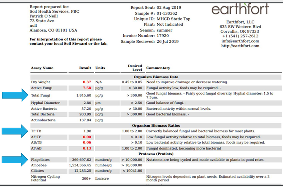 Earthfort soil test results showing excellent fungal dominance